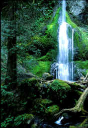 Christine Falls1401.jpg (176005 bytes)