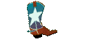 ani_boot