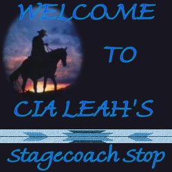 cowboyheadertwo